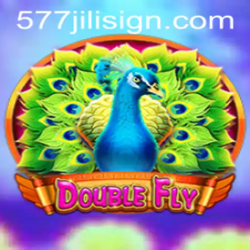 DoubleFly: A New Era of Gaming with 577jili